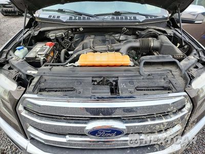Zdjęcie 11 z 12 samochodu: 2016 FORD F150 SUPERCREW VIN:1FTEW1EP3GKE36517 - miniatura