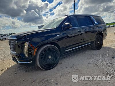 2025 CADILLAC ESCALADE PREMIUM LUXURY 1GYS9CRL1SR155890 - główne zdjęcie licytacji z USA - miniatura