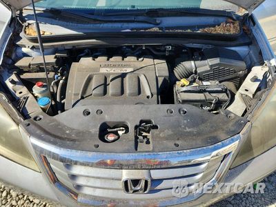 Zdjęcie 12 z 13 samochodu: 2008 HONDA ODYSSEY EXL VIN:5FNRL38738B069246 - miniatura
