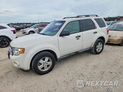 2009 FORD ESCAPE XLT 1FMCU03G69KA33365 - główne zdjęcie licytacji z USA - miniatura