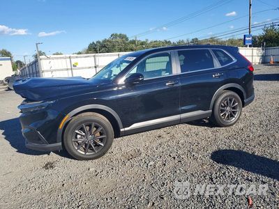 2026 HONDA CR-V EXL 5J6RS4H70TL002998 - główne zdjęcie licytacji z USA - miniatura