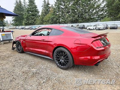 Drugie zdjęcie samochodu z przodu: 2017 FORD MUSTANG GT VIN:1FA6P8CF8H5315041 - miniatura