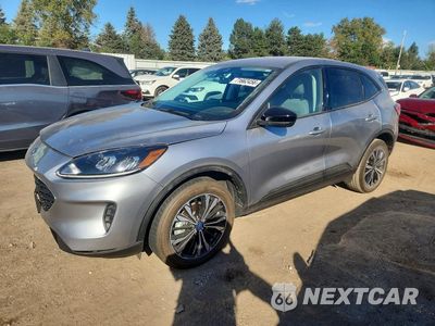 2021 FORD ESCAPE SE 1FMCU9BZ1MUA32306 - główne zdjęcie licytacji z USA - miniatura