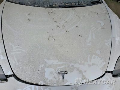 Zdjęcie 11 z 12 samochodu: 2019 TESLA MODEL 3 VIN:5YJ3E1EB6KF388175 - miniatura