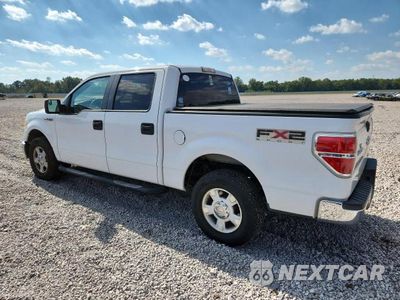 Drugie zdjęcie samochodu z przodu: 2011 FORD F150 SUPERCREW VIN:1FTEW1CM6BFA04238 - miniatura