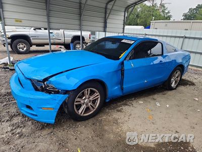 2013 FORD MUSTANG 1ZVBP8AM4D5241747 - główne zdjęcie licytacji z USA - miniatura