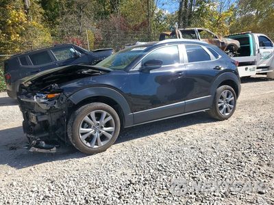 2025 MAZDA CX-30 PREFERRED 3MVDMBCM4SM779613 - główne zdjęcie licytacji z USA - miniatura