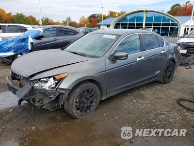 2008 HONDA ACCORD LXP 1HGCP25428A045433 - główne zdjęcie licytacji z USA - miniatura