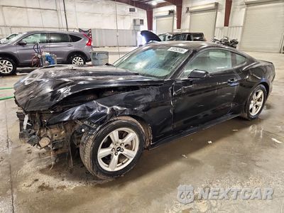 2016 FORD MUSTANG 1FA6P8AM8G5220902 - główne zdjęcie licytacji z USA - miniatura