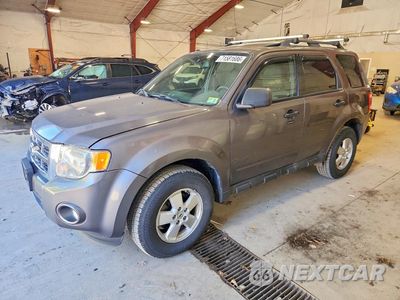 2012 FORD ESCAPE XLT 1FMCU9DG6CKC73090 - główne zdjęcie licytacji z USA - miniatura