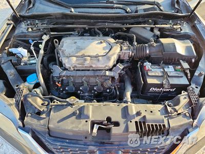 Zdjęcie 11 z 12 samochodu: 2014 HONDA ACCORD EXL VIN:1HGCT2A8XEA001454 - miniatura