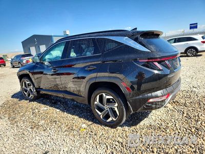 Drugie zdjęcie samochodu z przodu: 2023 HYUNDAI TUCSON LIMITED VIN:KM8JECA18PU113336 - miniatura