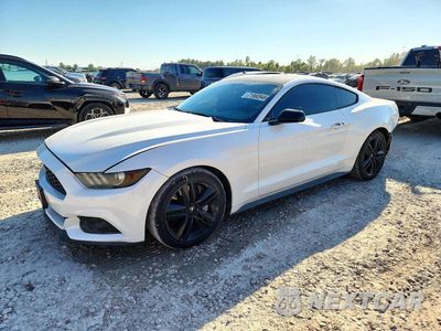 2017 FORD MUSTANG 1FA6P8TH1H5210021 - główne zdjęcie licytacji z USA - miniatura