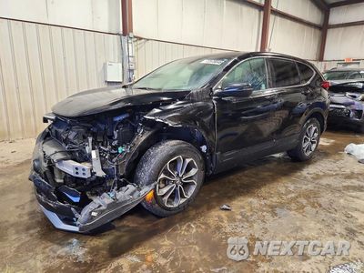 2022 HONDA CR-V EX 2HKRW2H52NH627343 - główne zdjęcie licytacji z USA - miniatura