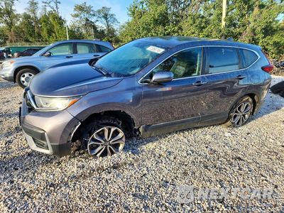 2021 HONDA CR-V EX 2HKRW2H52MH641046 - główne zdjęcie licytacji z USA - miniatura