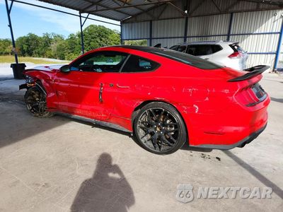 Drugie zdjęcie samochodu z przodu: 2021 FORD MUSTANG VIN:1FA6P8TH7M5110676 - miniatura