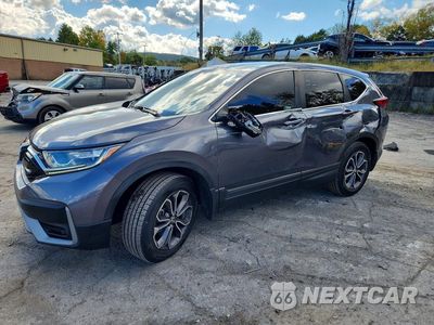 2020 HONDA CR-V EX 2HKRW2H50LH631453 - główne zdjęcie licytacji z USA - miniatura