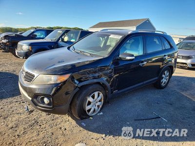 2013 KIA SORENTO LX 5XYKTDA6XDG376862 - główne zdjęcie licytacji z USA - miniatura