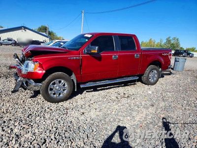 2013 FORD F150 SUPERCREW 1FTFW1EF1DKE91264 - główne zdjęcie licytacji z USA - miniatura