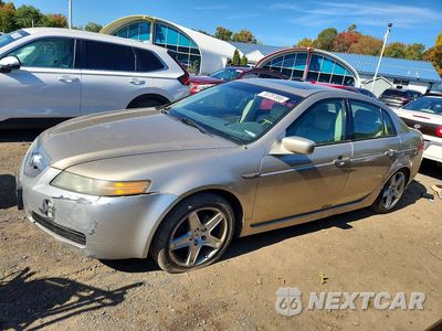 2004 ACURA TL 19UUA66244A013491 - główne zdjęcie licytacji z USA - miniatura
