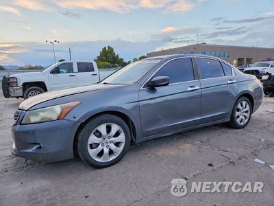 2008 HONDA ACCORD EXL 1HGCP36818A073439 - główne zdjęcie licytacji z USA - miniatura