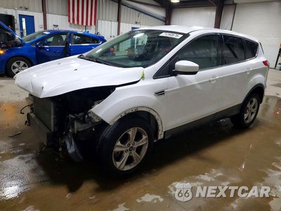 2014 FORD ESCAPE SE 1FMCU9GX8EUA82905 - główne zdjęcie licytacji z USA - miniatura