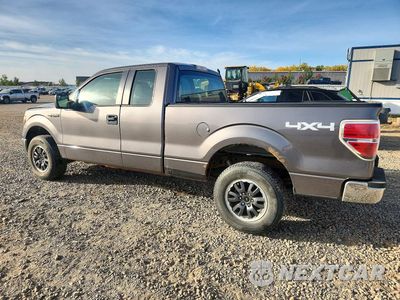 Drugie zdjęcie samochodu z przodu: 2011 FORD F150 SUPER CAB VIN:1FTFX1EF2BFC28512 - miniatura