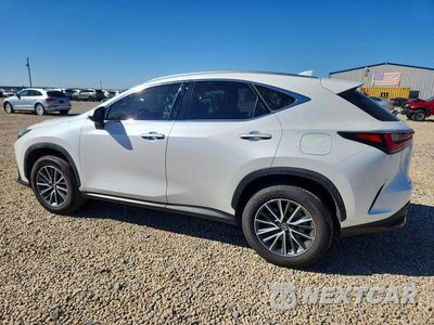 Drugie zdjęcie samochodu z przodu: 2024 LEXUS NX 350 VIN:JTJGKCEZXR5021467 - miniatura