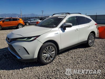2021 TOYOTA VENZA XLE JTEAAAAH5MJ041750 - główne zdjęcie licytacji z USA - miniatura
