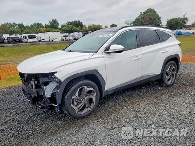 2024 HYUNDAI TUCSON LIMITED 5NMJECDE2RH371395 - główne zdjęcie licytacji z USA - miniatura