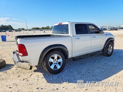 Trzecie zdjęcie samochodu z tyłu: 2010 DODGE RAM 1500 VIN:1D7RB1CP4AS235870 - miniatura
