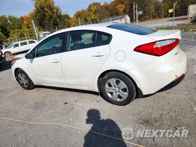 Drugie zdjęcie samochodu z przodu: 2015 KIA FORTE LX VIN:KNAFX4A64F5281695 - miniatura