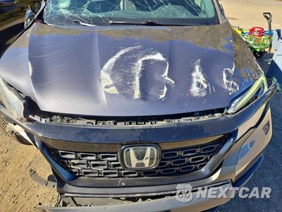Zdjęcie 12 z 14 samochodu: 2019 HONDA PASSPORT ELITE VIN:5FNYF8H0XKB002296 - miniatura