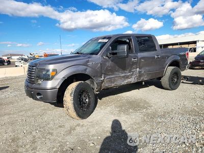 2011 FORD F150 SUPERCREW 1FTFW1EF1BFA22469 - główne zdjęcie licytacji z USA - miniatura