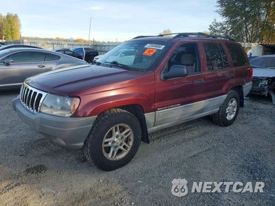 1999 JEEP GRAND CHEROKEE LAREDO 1J4GW58S3XC609781 - główne zdjęcie licytacji z USA - miniatura