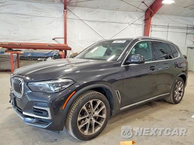 2023 BMW X5 XDRIVE40I 5UXCR6C03P9P75141 - główne zdjęcie licytacji z USA - miniatura