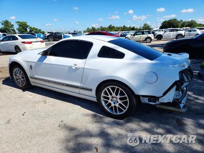 Drugie zdjęcie samochodu z przodu: 2014 FORD MUSTANG VIN:1ZVBP8AM3E5273770 - miniatura