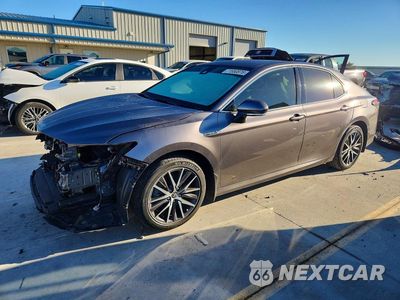 2021 TOYOTA CAMRY XLE 4T1F31AK9MU027134 - główne zdjęcie licytacji z USA - miniatura