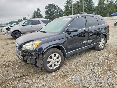 2007 HONDA CR-V EXL JHLRE38707C022216 - główne zdjęcie licytacji z USA - miniatura