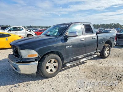 2010 DODGE RAM 1500 1D7RB1GP8AS231265 - główne zdjęcie licytacji z USA - miniatura
