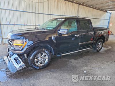 2025 FORD F150 XLT 1FTEW3LP0SKE16202 - główne zdjęcie licytacji z USA - miniatura