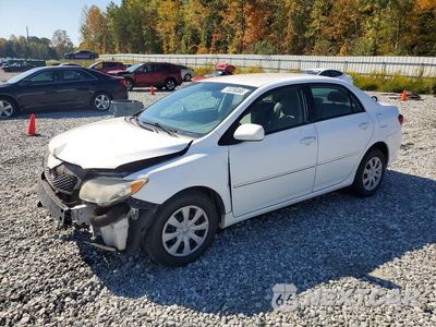 2009 TOYOTA COROLLA LE 2T1BU40E39C115856 - główne zdjęcie licytacji z USA - miniatura