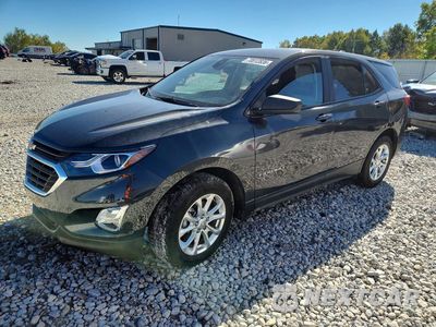 2021 CHEVROLET EQUINOX LS 2GNAXHEV1M6155681 - główne zdjęcie licytacji z USA - miniatura