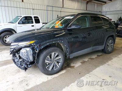 2024 HYUNDAI TUCSON BLUE KM8JBCD1XRU208097 - główne zdjęcie licytacji z USA - miniatura