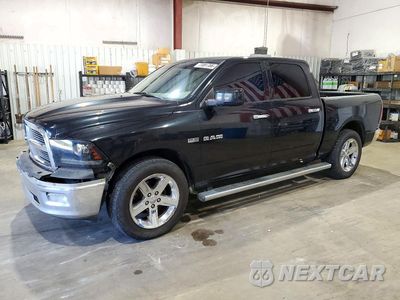 2009 DODGE RAM 1500 1D3HB13T29J509613 - główne zdjęcie licytacji z USA - miniatura
