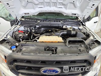 Zdjęcie 11 z 12 samochodu: 2021 FORD F150 SUPER CAB VIN:1FTEX1EP5MKE31196 - miniatura