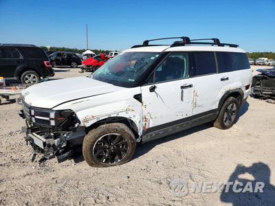 2025 HYUNDAI SANTA FE SEL 5NMP2DG13SH053079 - główne zdjęcie licytacji z USA - miniatura