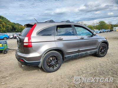 Trzecie zdjęcie samochodu z tyłu: 2009 HONDA CR-V EXL VIN:5J6RE48739L034571 - miniatura