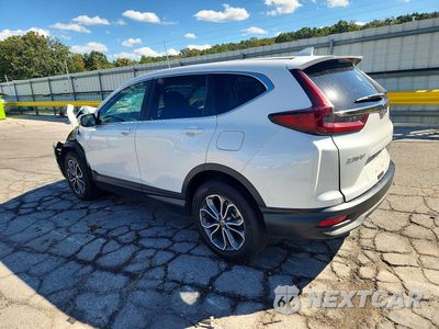 Drugie zdjęcie samochodu z przodu: 2020 HONDA CR-V EX VIN:5J6RW2H52LL004453 - miniatura