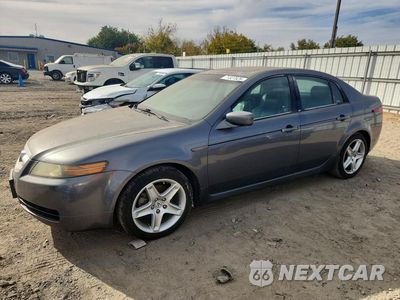 2006 ACURA 3.2TL 19UUA66246A065979 - główne zdjęcie licytacji z USA - miniatura